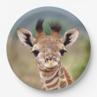Baby giraffe picture, Kenya, Africa | 9" Paper Plate
