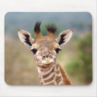 Baby giraffe picture, Kenya, Africa | Mouse Pad