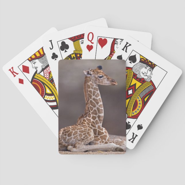 Baby Giraffe Playing Cards (Back)