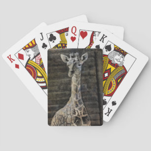 Baby Giraffe Playing Cards