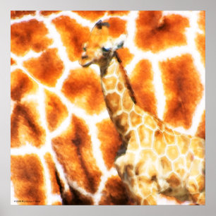 Baby Giraffe Poster