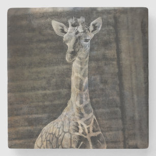 Baby Giraffe Stone Coaster