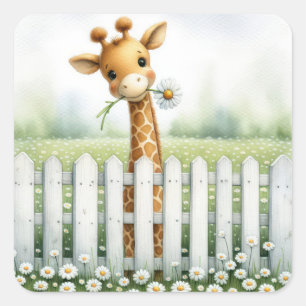 Baby Giraffe With Daisy  Square Sticker