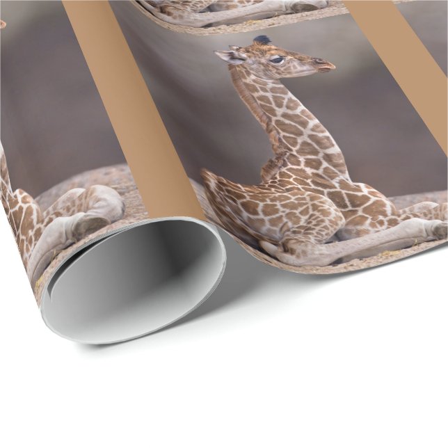 Baby Giraffe Wrapping Paper (Roll Corner)