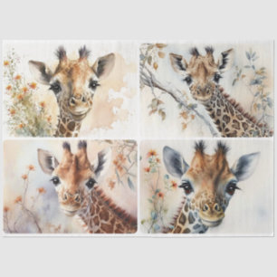 Baby Giraffes Tissue Paper