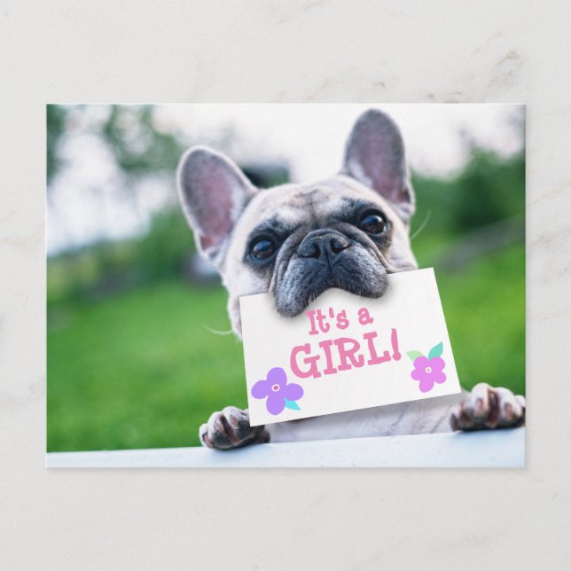 Baby Girl Announcement With Dog Custom (Front)