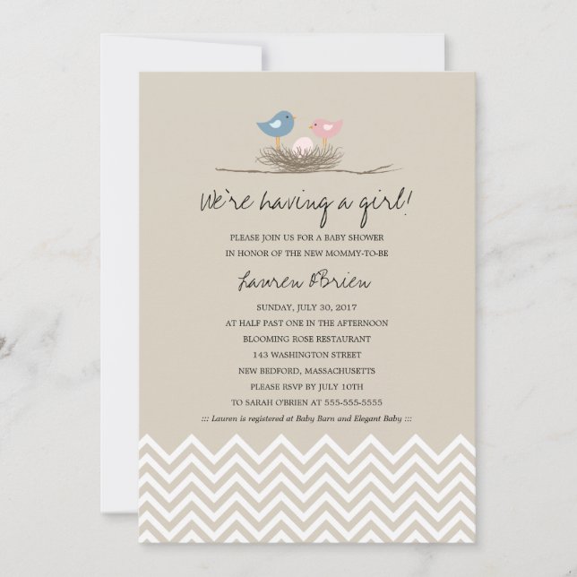 Baby Girl Bird's Nest Baby Shower Invitation (Front)