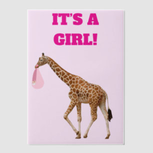 Baby Girl Birth Announcement Vellum Overlay
