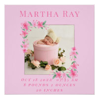 Baby Girl Birth Stats Birth Record Keepsake Photo 
