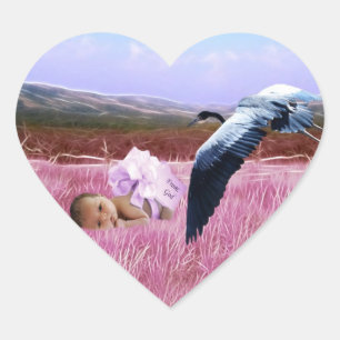 Baby Girl heart Sticker