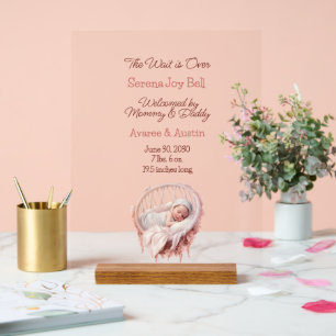 Baby Girl Welcome Sign