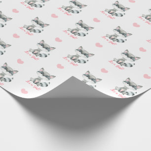 Baby Girl Wrapping Paper Pink Raccoon It's A Girl