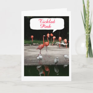 **BABY GIRL'S' BIRTH**  FLAMINGOS ARE TICKLED PINK CARD