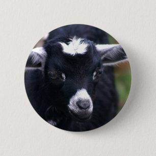 Baby Goat 6 Cm Round Badge