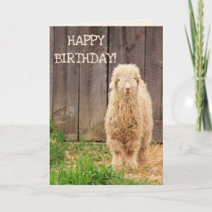 Baby Goat Birthday Card