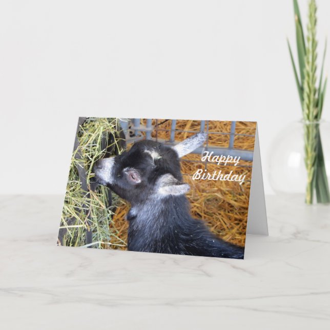 Baby Goat Hay Birthday Card (Front)