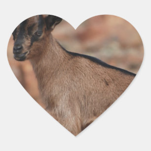 Baby Goat Heart Sticker