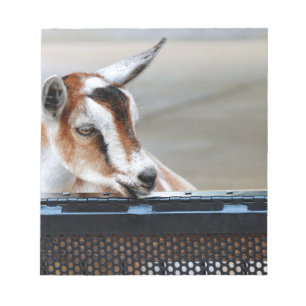 Baby Goat Notepad