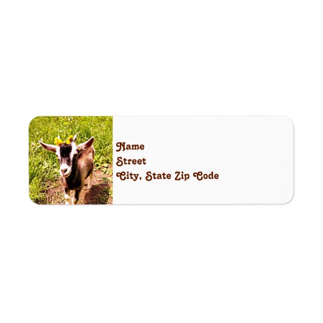 Baby Goat Return Address Labels (Front)