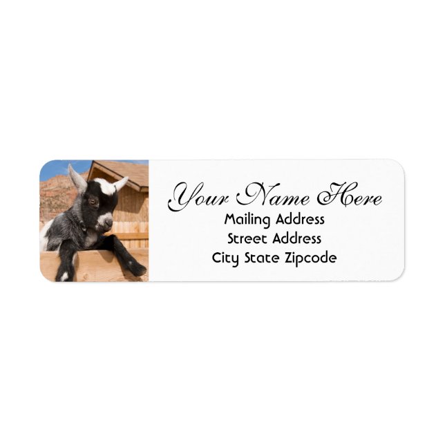 Baby Goat Return Address Return Address Label (Front)