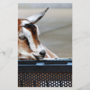 Baby Goat Stationery