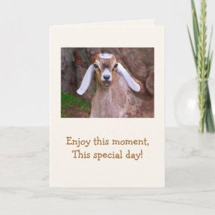 Baby Goat Wisdom Birthday Card