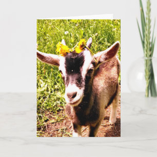 Baby Goat with Flowers - Blank Card