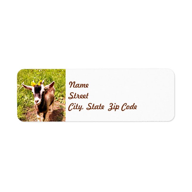 Baby Goat with Flowers - Return Address Label (Front)