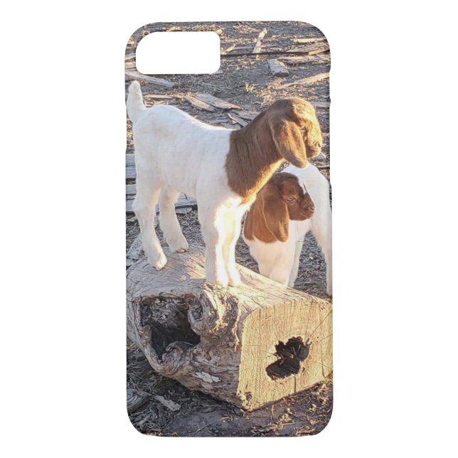 Baby Goats, Case-Mate iPhone Case (Back)