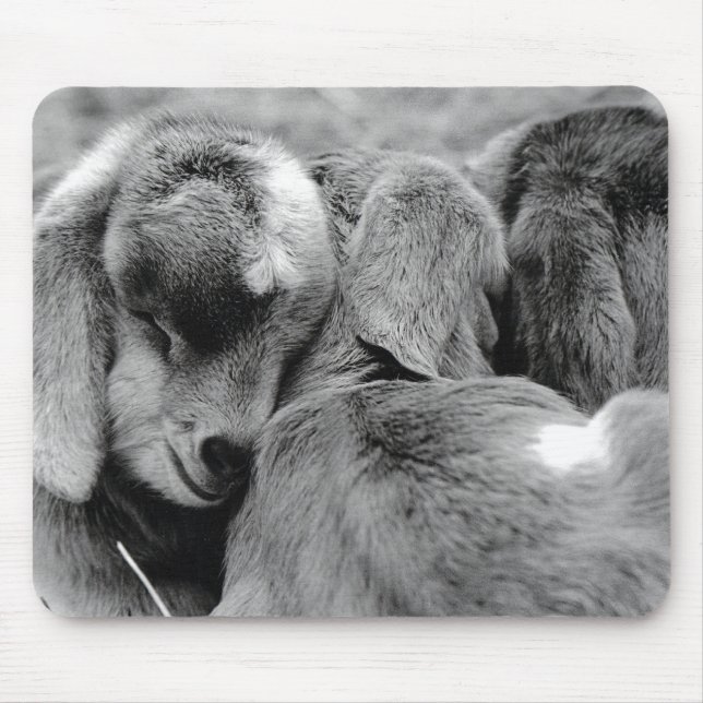 Baby Goats Mouse Pad (Front)