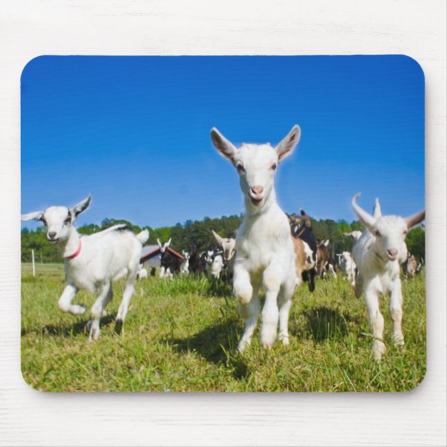 Baby Goats Mousepad (Front)