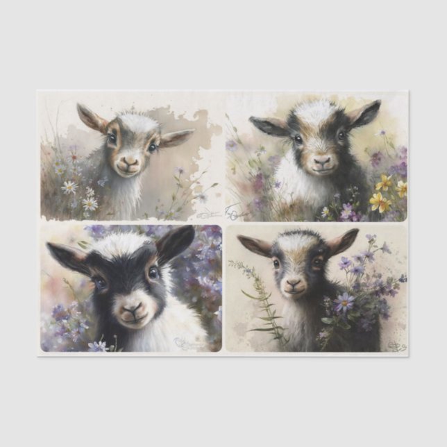 Baby Goats  Tissue Paper (Front)