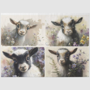 Baby Goats  Tissue Paper