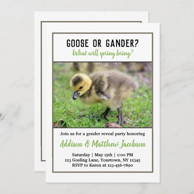 Baby Goose Gender Reveal Invitation (Front/Back)