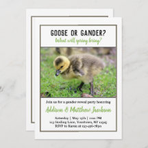 Baby Goose Gender Reveal Invitation