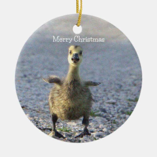 Baby Goose Ornament  (Front)