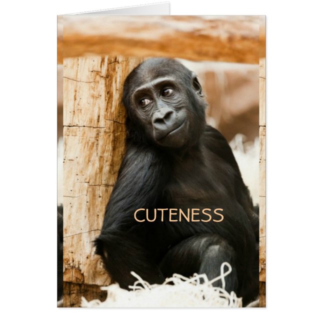 Baby gorilla (Front)
