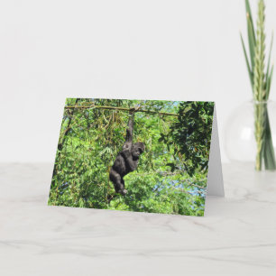 Baby Gorilla (2035) - Birthday Card