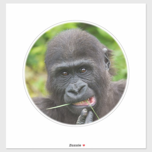 Baby Gorilla Cuteness (Sheet)