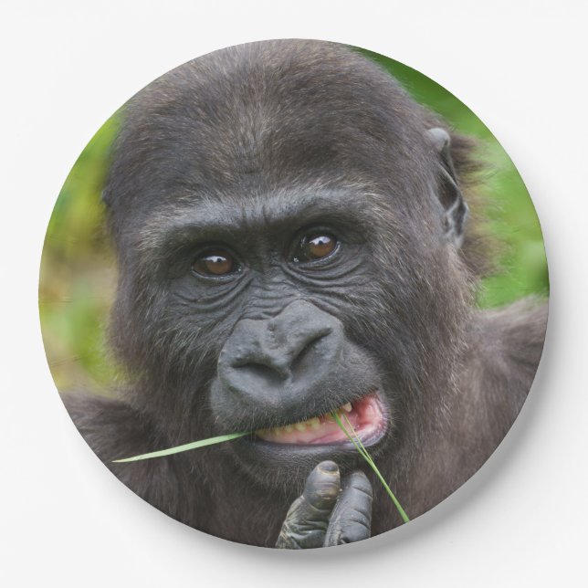 Baby Gorilla Cuteness Paper Plate (Front)