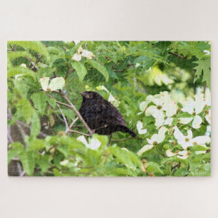 Baby Grackle in Dogwood Tree Jigsaw Puzzle