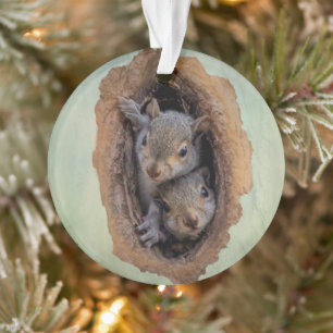 Baby Gray Squirrels Christmas Ornament