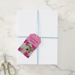 Baby Grey And White Guinea Pig, Gift Tags