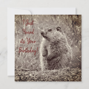 Baby Groundhog in BLACK AND WHITE Birthday