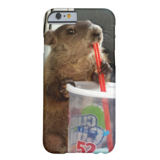 groundhog day gift ideas groundhog gifts gift ftempo groundhog day gift ideas groundhog gifts gift ftempo