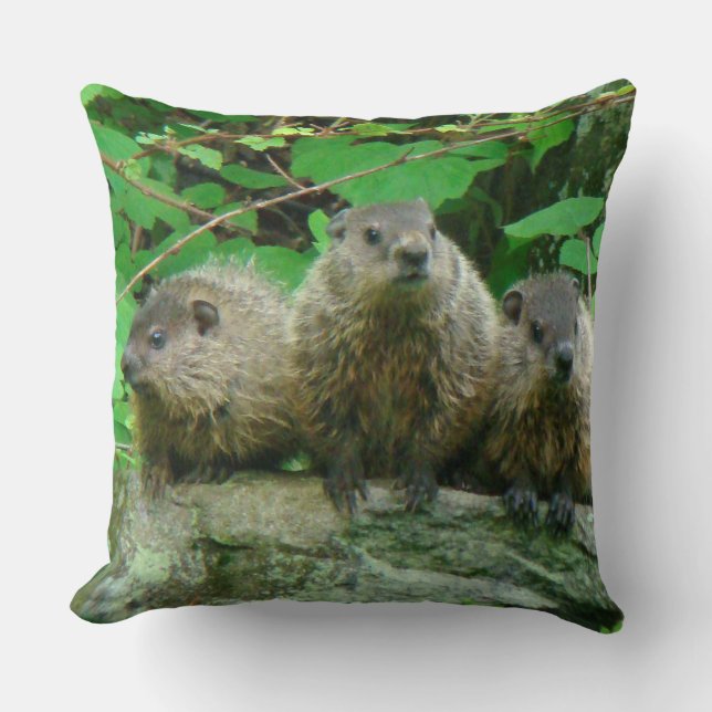 Baby Groundhogs - Woodchucks - Grundsows Cushion (Front)