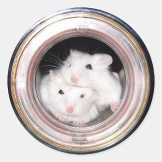 Baby hamster: Piled up! Classic Round Sticker