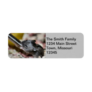 baby hamster return address label