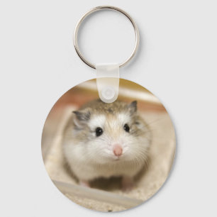 Baby hamster stare key ring