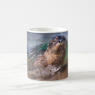 Baby Harbour Seal Coffee Mug